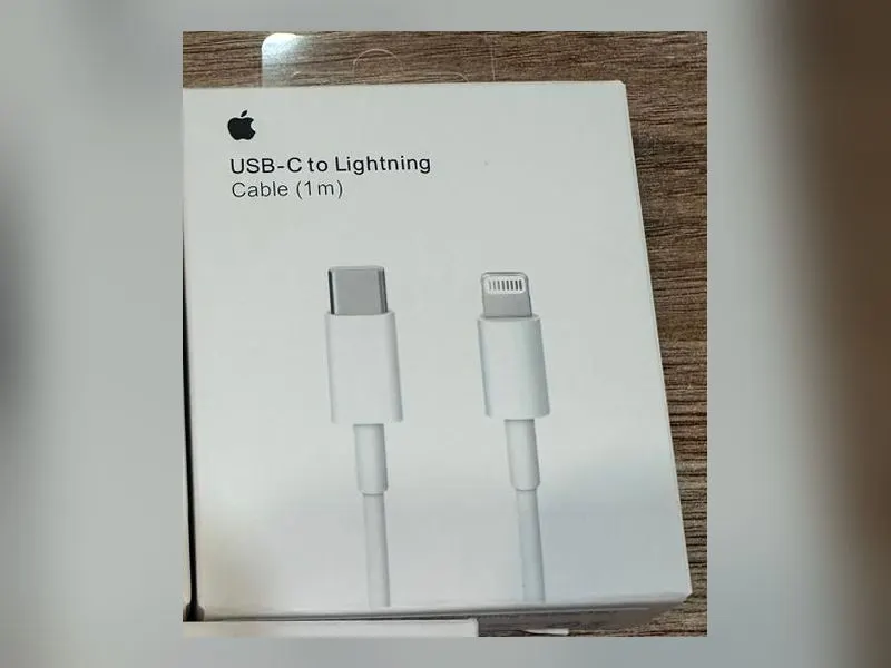 Cable Iphone ficha C a Lightning